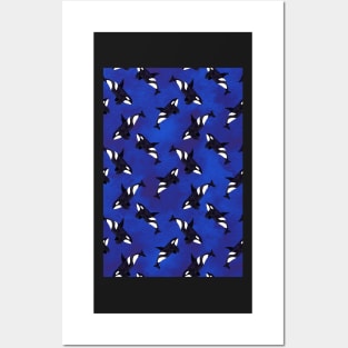 Killer whale Posters and Art